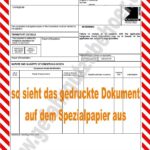 Gefahrgut Luft - Word-Dokumentenvorlage zur Erstellung der shipper´s declaration